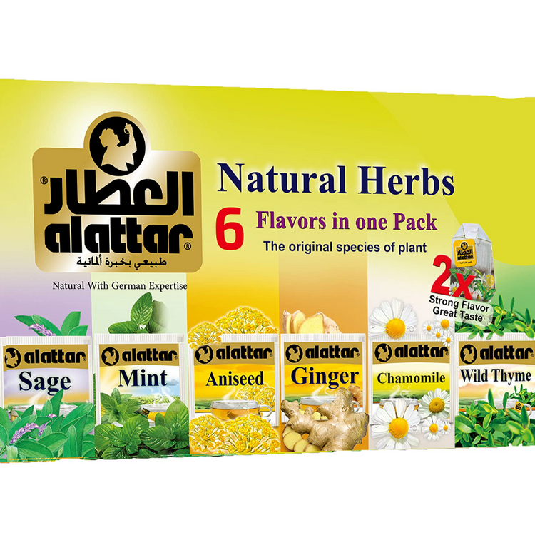 Alattar Natural Herbs 6 Flavours in One Pack (Sage,Mint,Anissed,Ginger,Chamomile,whild Thyme) 24x24 tea bags
