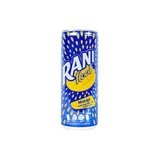 Rani Float With Real Fruit Pieces Juice Mango 24 x 240 ml